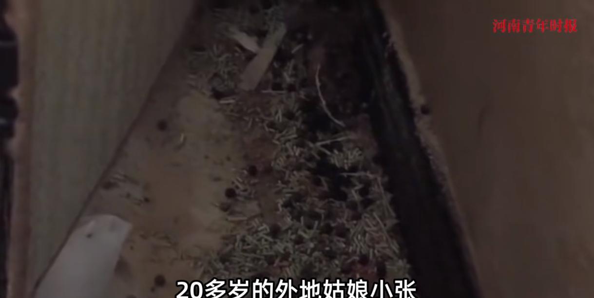 “太缺德了！”2025年6月，重庆，一位房东把自己的房子租给一位20多岁的外地女