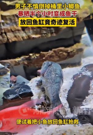 解释不清了!河南这位大哥的经历，这两天在网上传得挺火。他倒掉桶里的旧水时，没
