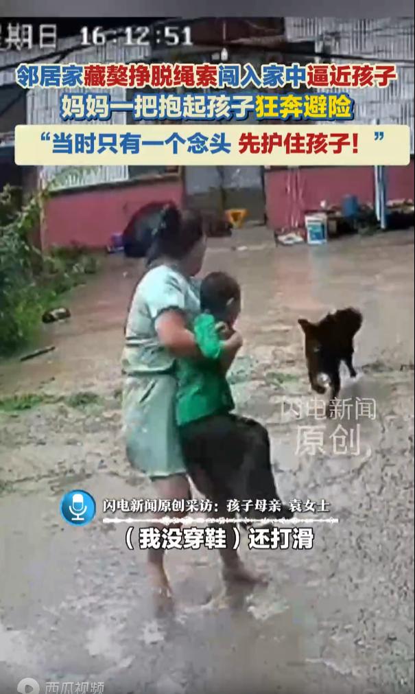 山东菏泽，邻居家的烈性藏獒，挣脱了绳子冲进一户只有孩子宝妈在的院子，直奔年幼玩耍