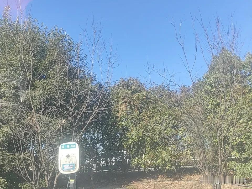 大龄剩女和大量光棍能否互相拯救?大龄剩女和大量光棍能否互相拯救，这事儿没那么简