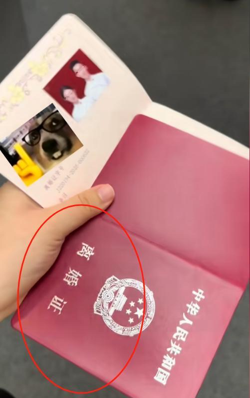 捅大娄子！吉林，一对情侣去民政局办理结婚证，拿到证还没等高兴，一看证件傻眼了：离