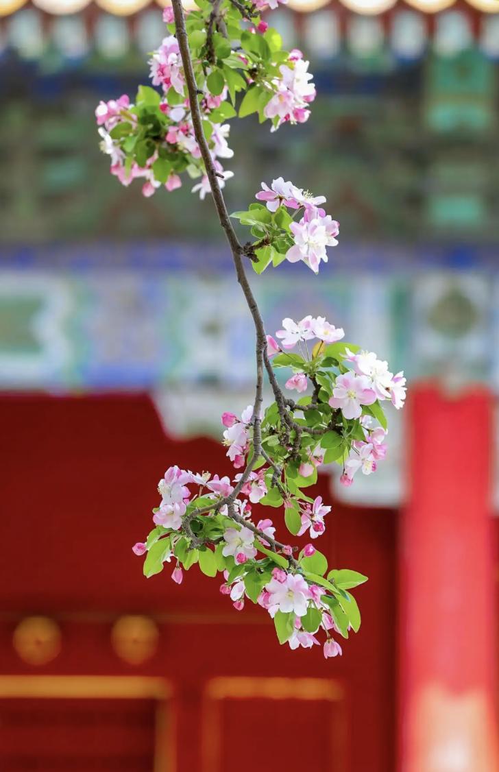 道家有个说法，叫“天不渡人，以苦为舟”你不是在受苦，你是在还债——还前世欠下