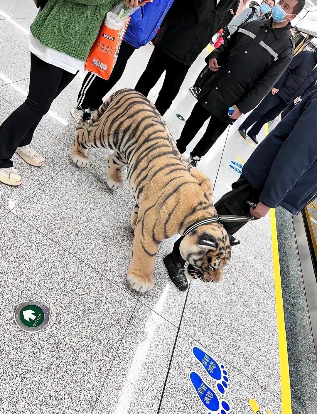 这居然是行李箱。[？？？][？？？][？？？]​​​