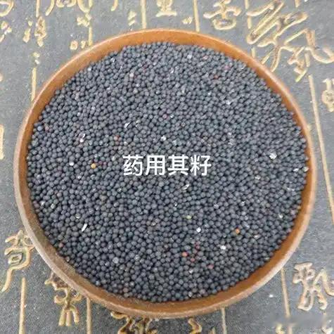 王不留行散——仲景金疮第一方，也是唯一方方义、病机、临床真意，按经方原味给你收束