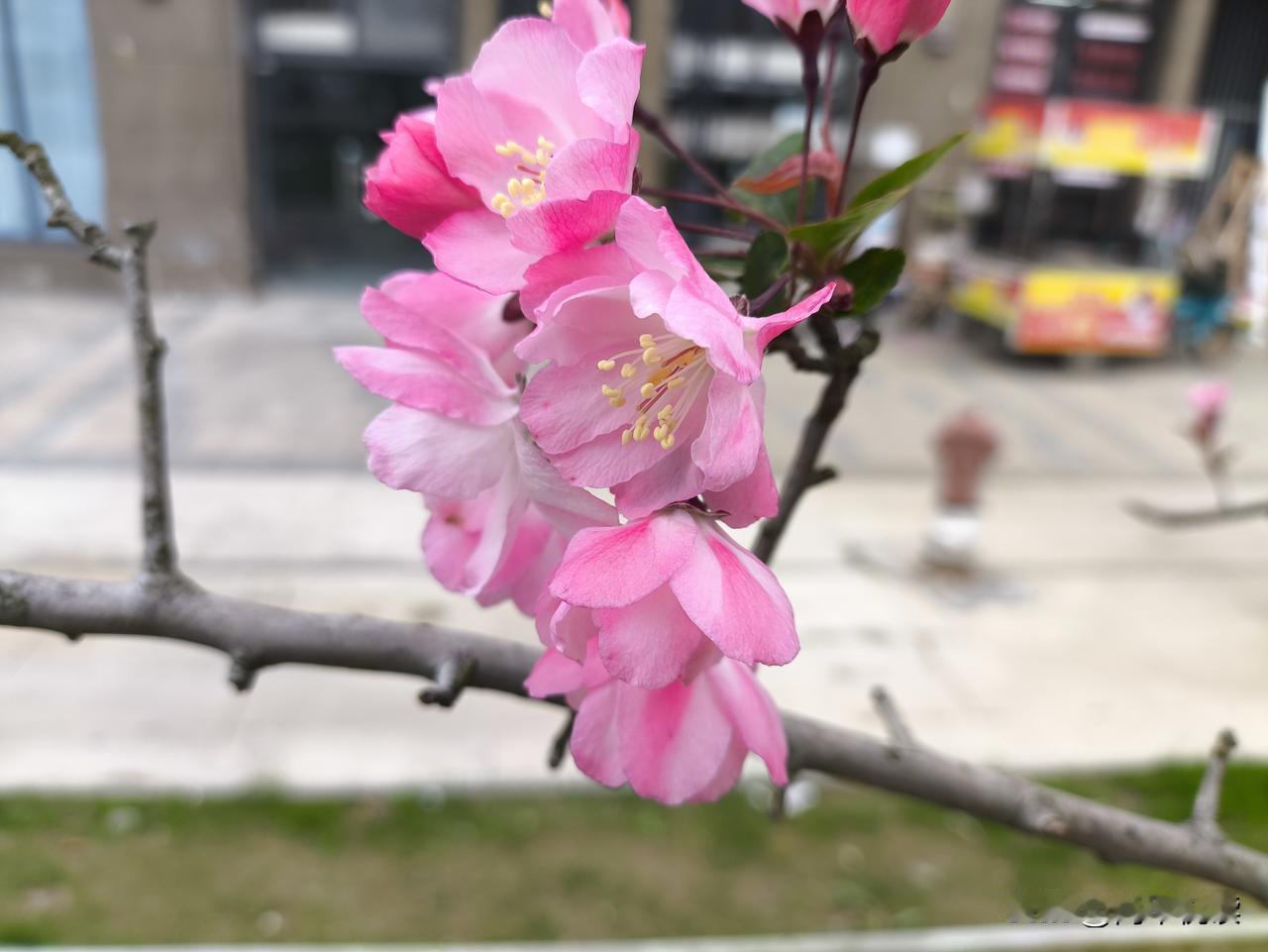 今天跟老婆聊天，聊到她的闺蜜王姐。王姐今年66岁，每个月退休金4500块。
