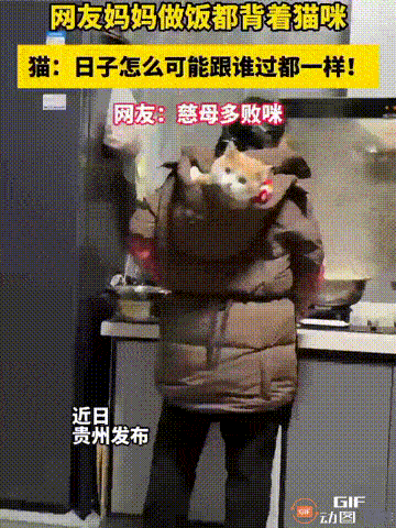 这应该是全网最幸福的猫了！贵州一名女子回老家过年，发现家里的小猫待遇比她还要好，