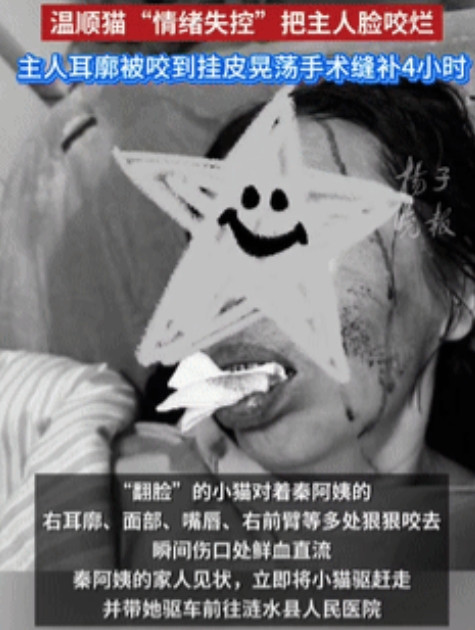 失算了！”江苏涟水，一60岁女子养了只看似温顺的宠物猫，不料，在一次喂食中，小猫
