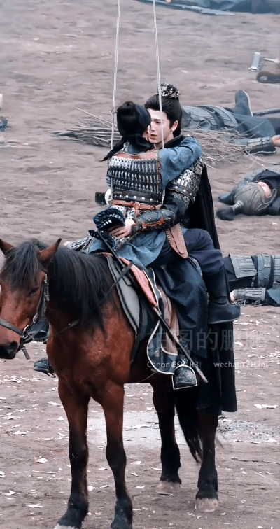 单看动图，哪个更吸引你呢