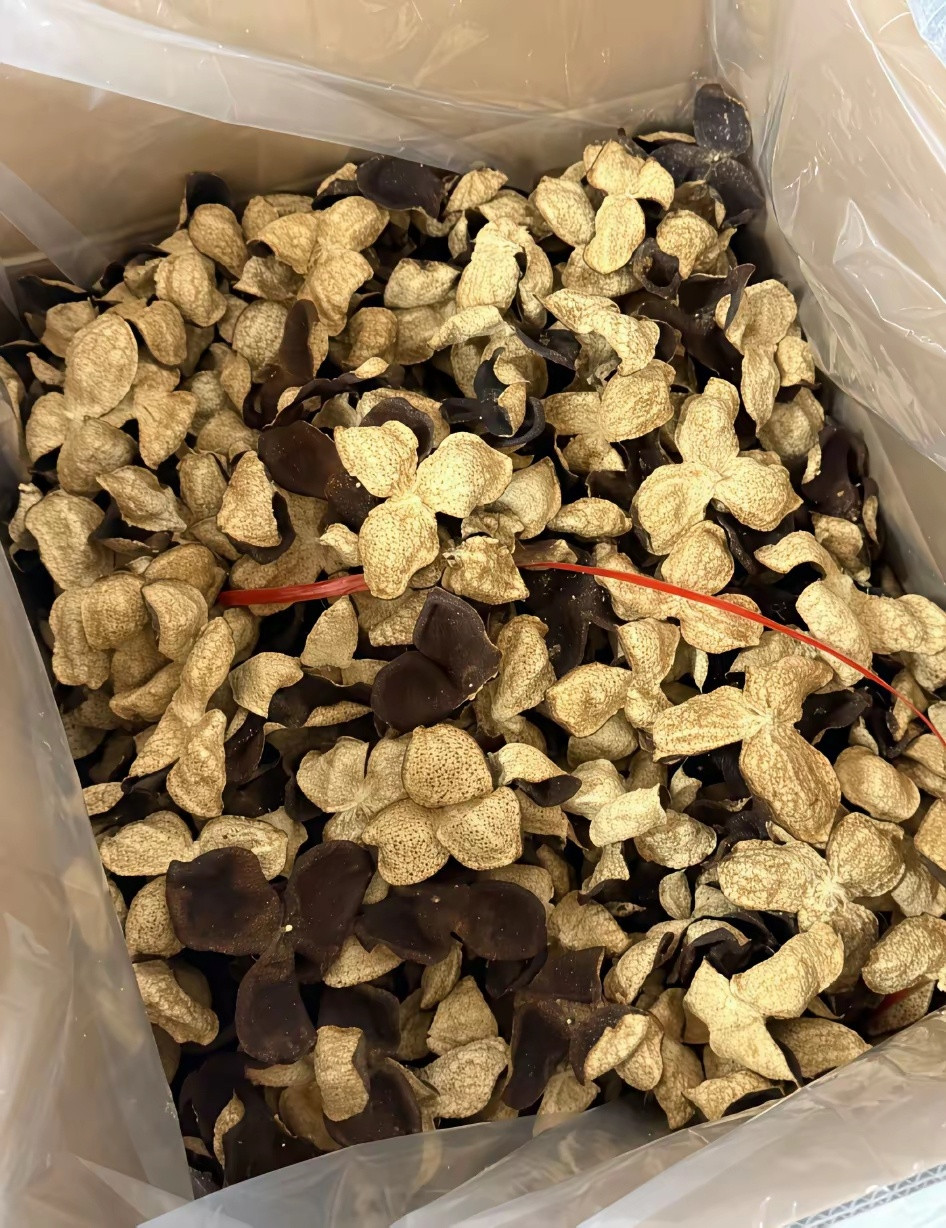昨天去江门出差，顺路到堂妹家吃饭。席间堂妹说家里存了不少自家晒的陈皮，问我要不要