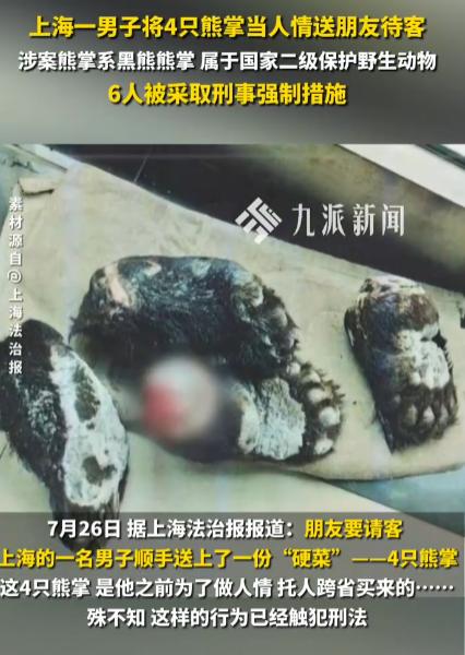 “一个敢送，一个敢收！上海，男子为撑面子，托人跨省买来4只国家二级保护动物黑熊熊