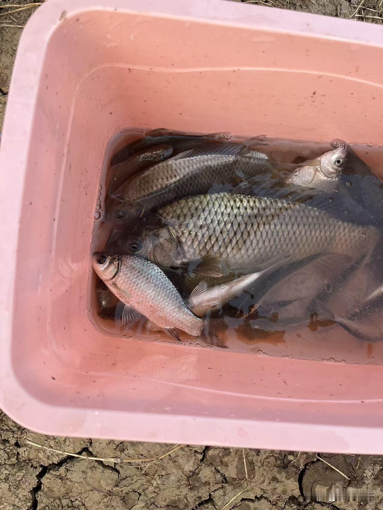 冬钓鲫鱼不要随便找个位置就直接下竿，多想想鱼应该藏在哪里。到了河边啥也别干，