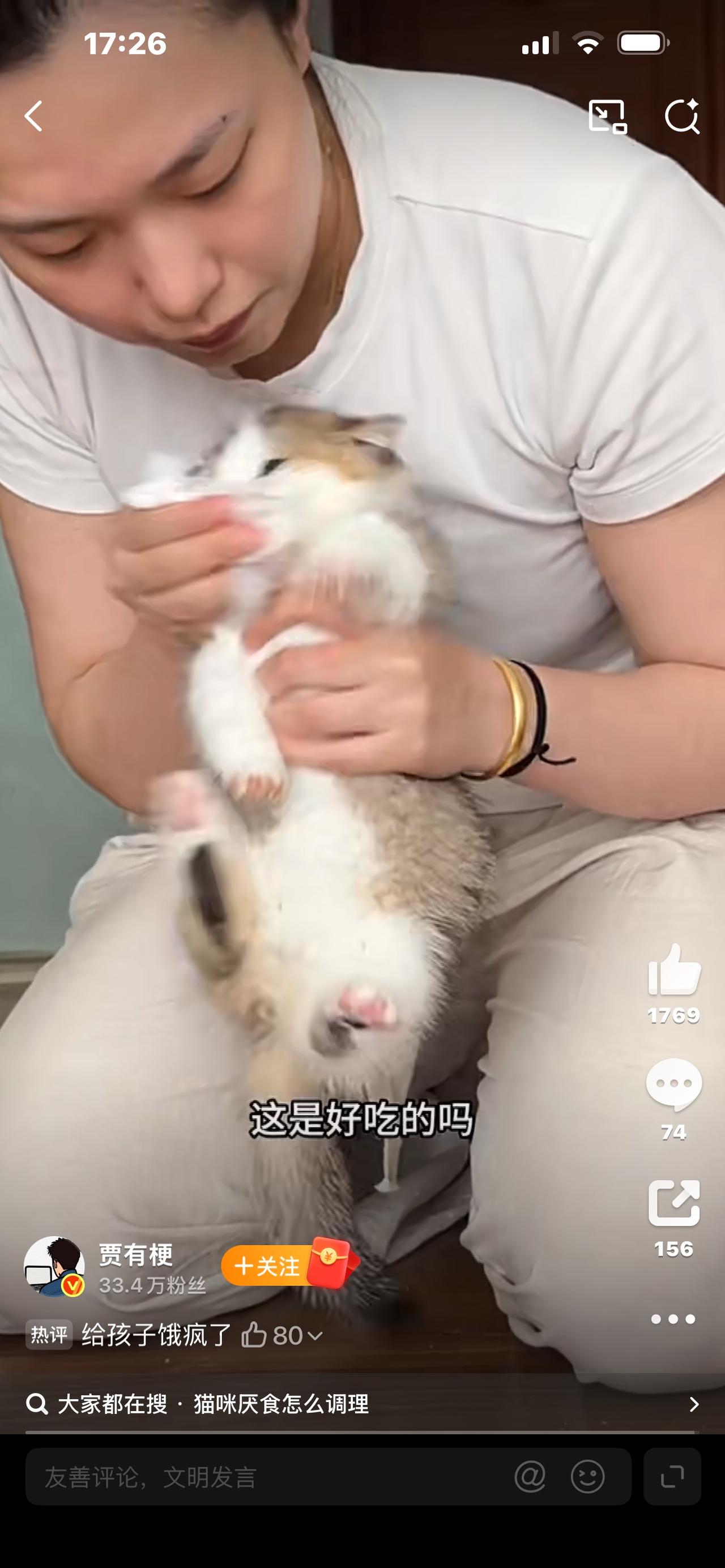 看哭全网！一只厌食症小猫，被救后活成“饕餮转世”，反差太治愈你敢信吗？一只瘦