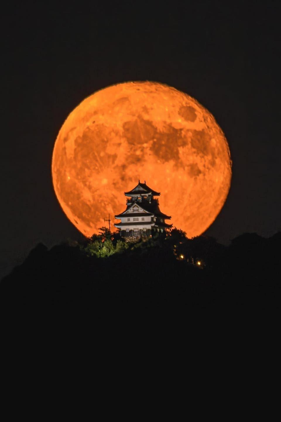 这是日本的一个摄影师的作品