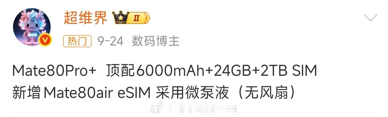 华为也Air上了？这下eSIM总该落地了吧[捂脸哭]​​​