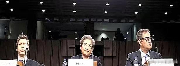 这两天，美国国会把美国几乎全部有头有脸的高科技企业老板们召集到华盛顿，召开了一场