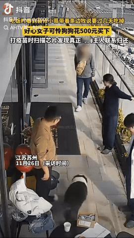 江苏苏州，一女子来到一家菜馆吃饭，发现路边树上拴了一条牧羊犬，那狗狗懂得全身发抖