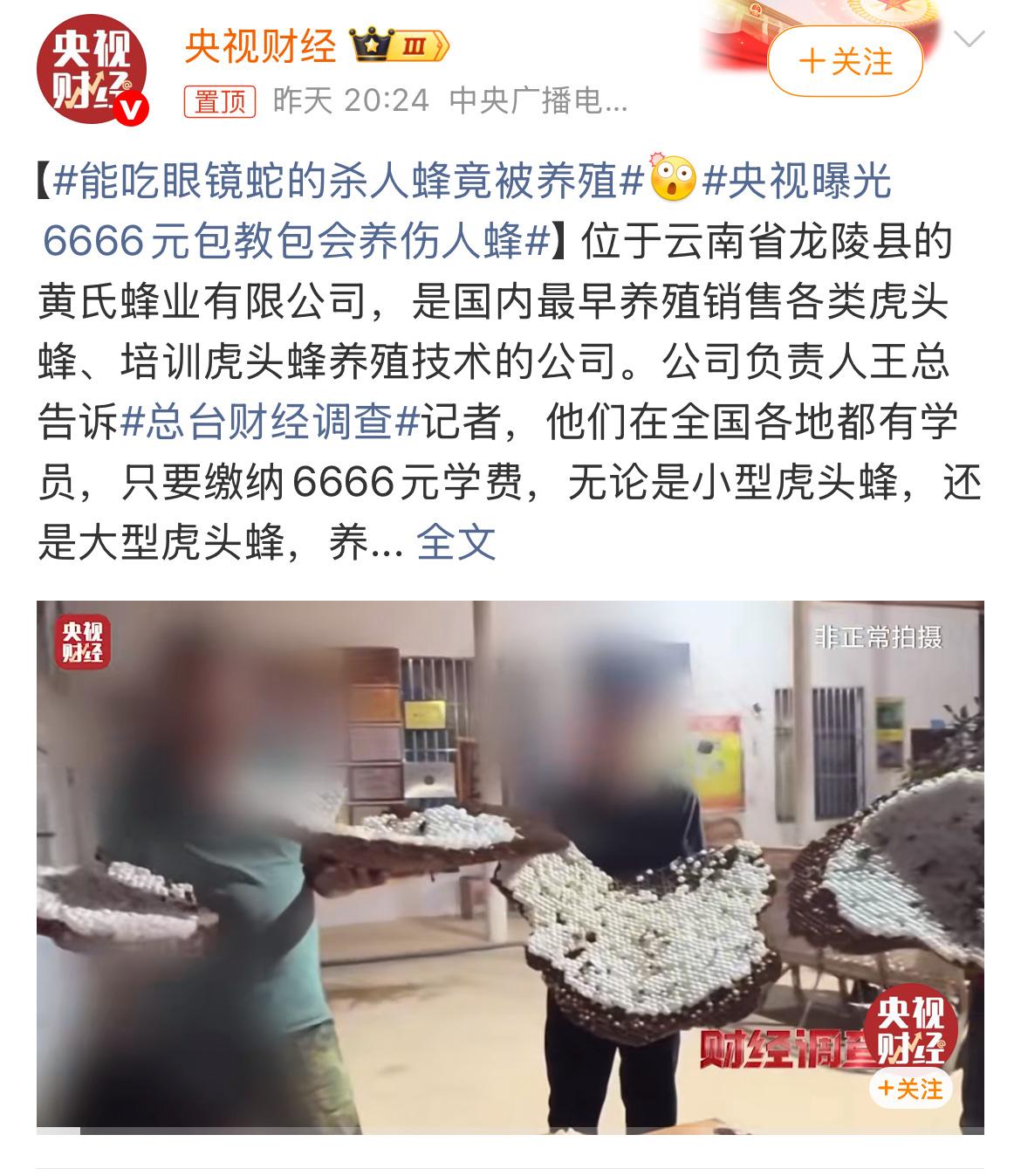 大家听说了吗？最近央视曝光了一桩特别离谱的生意——有人居然在网上搞起了“杀人蜂”