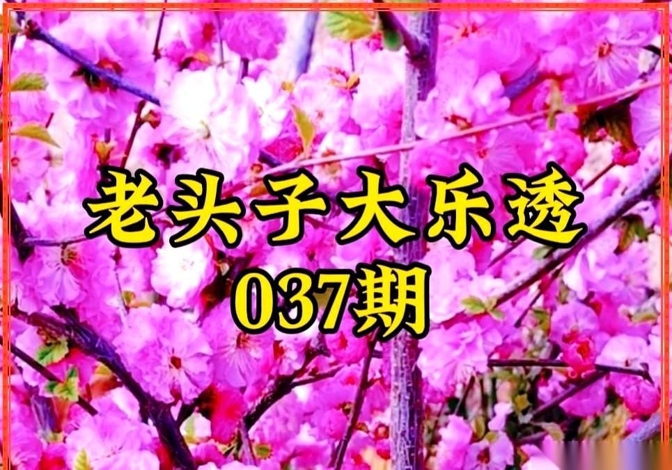 一张大乐透走势图，铺满了整张桌子。老头子不说话，指甲盖一下一下，轻轻敲着一区的