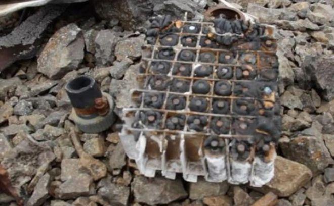 2014年，几名美国人到格陵兰岛旅游，欣赏北极美景。突然，一名女游客大声喊：“快