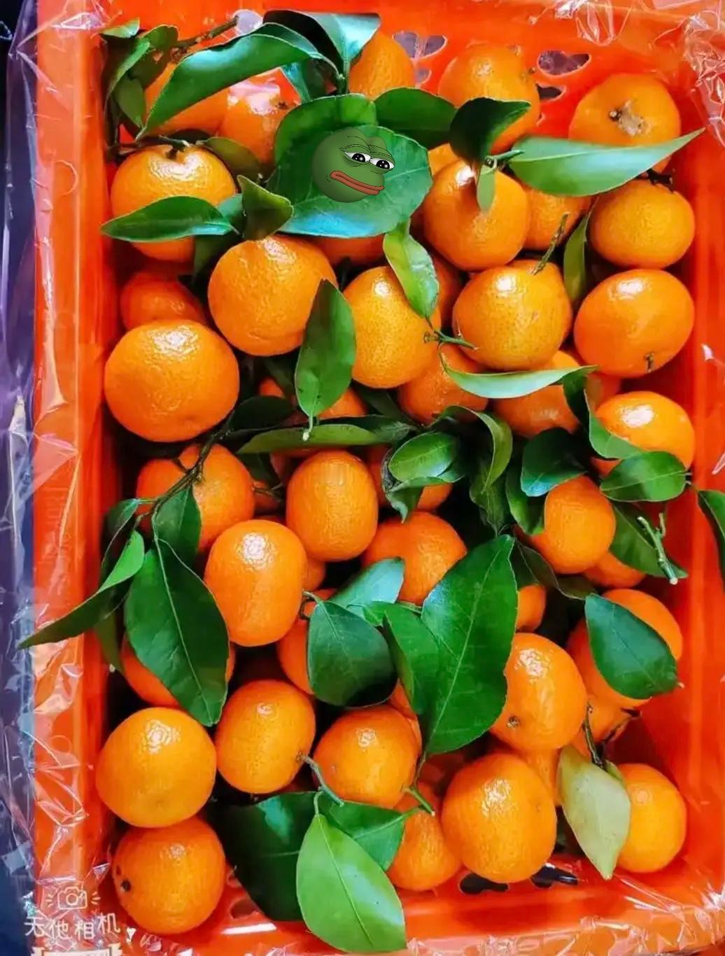 我终于知道今年的沙糖桔为什么卖不动了，并不是价格太贵了，也不是大家不喜欢吃，真