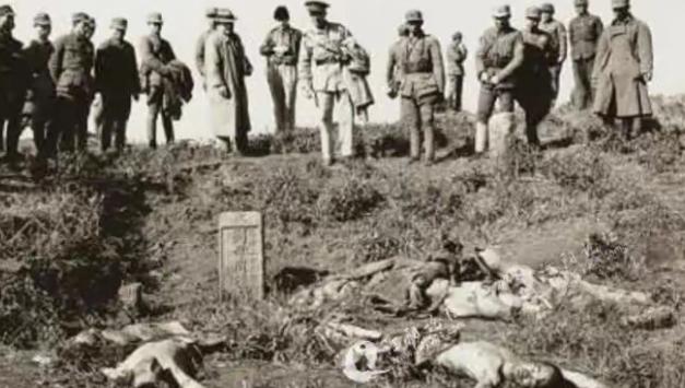 1942年初，蒋介石派人视察长沙会战的阵地，看见满山满谷都是日军尸体后，一个参谋