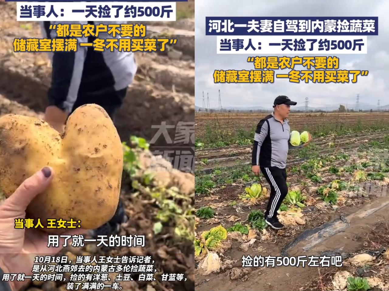 河北有对夫妻自驾去内蒙，竟然“捡”出了大惊喜！他们本是去看草原秋景，结果