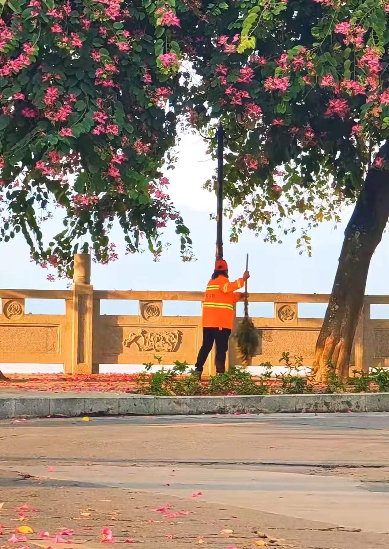 山东，环卫工大姐清晨扫街，突然听见绿化里传来一阵奇怪的“哼唧”声。她忍不住扒开冬