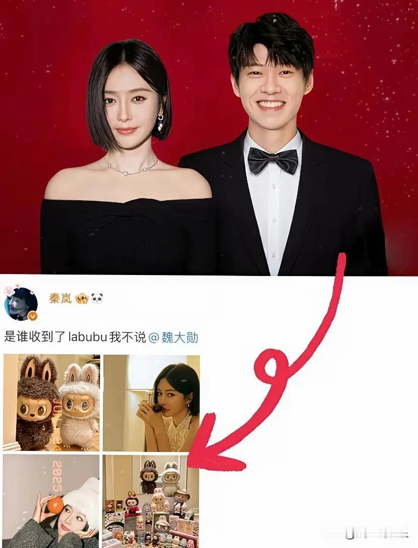 说实话，秦岚都47岁了，再过五年就奔52了，这个年纪自然怀孕几乎没可能。就算真怀