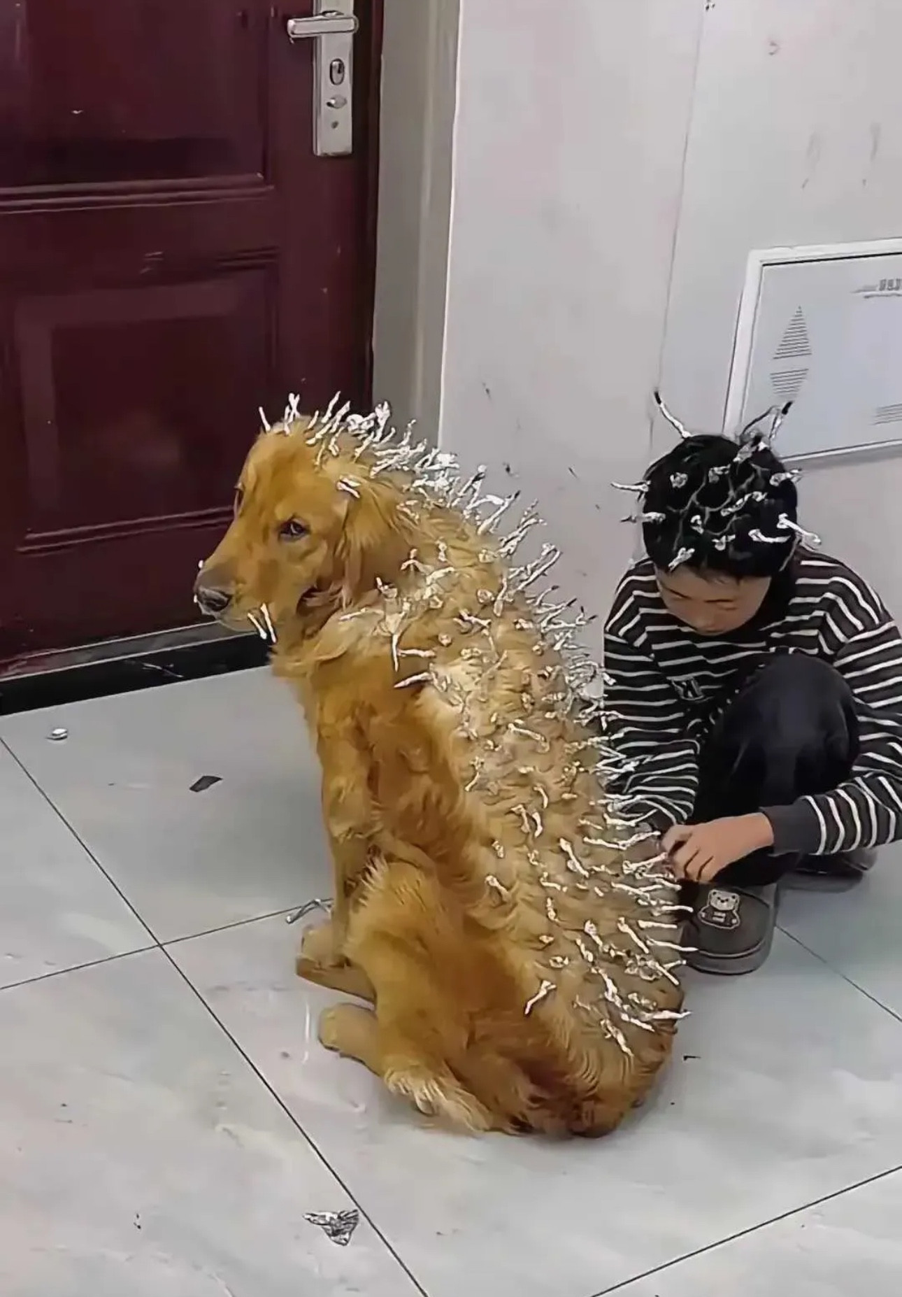 狗：人，你真是狗啊！[汗][大笑]