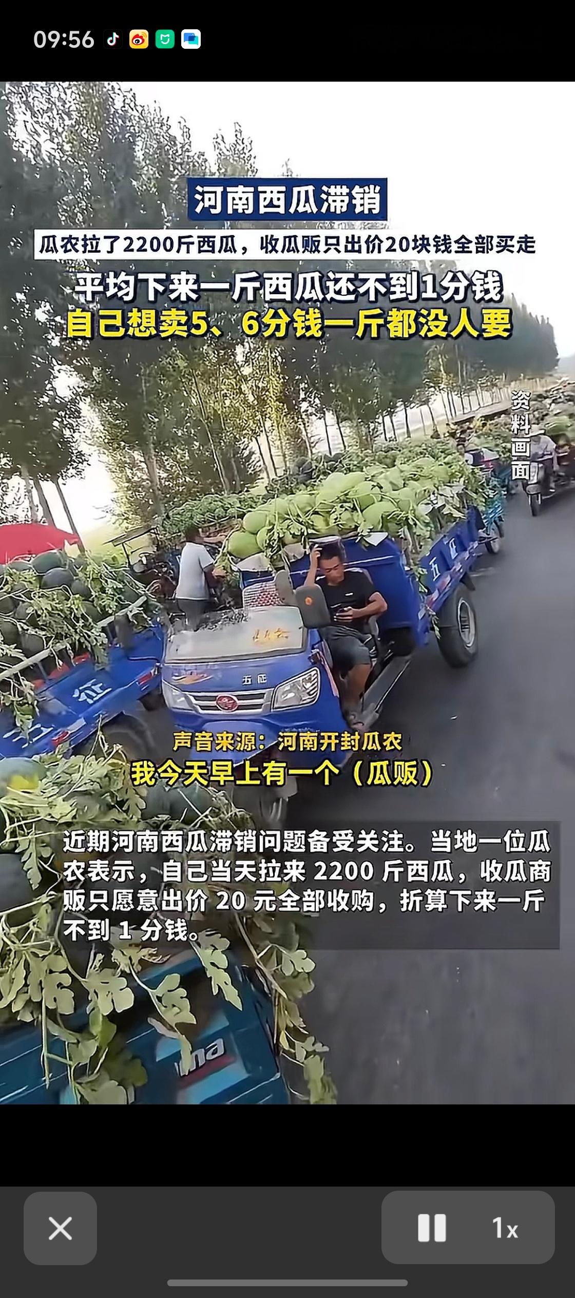 2200斤西瓜，贩子只给20元？河南的西瓜这么便宜吗