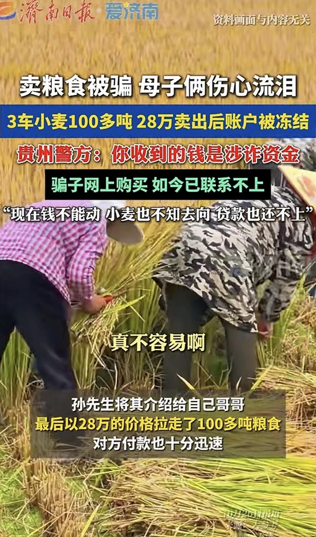 谁知盘中餐粒粒皆辛苦!今天这一则诈骗消息真的触碰了我们的底线。农民卖粮三车小麦1