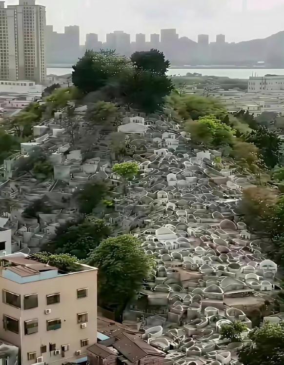 从有土葬那天起，华夏大地送走的人，按时间往回推，少说也得有几十亿了，可土地从没被