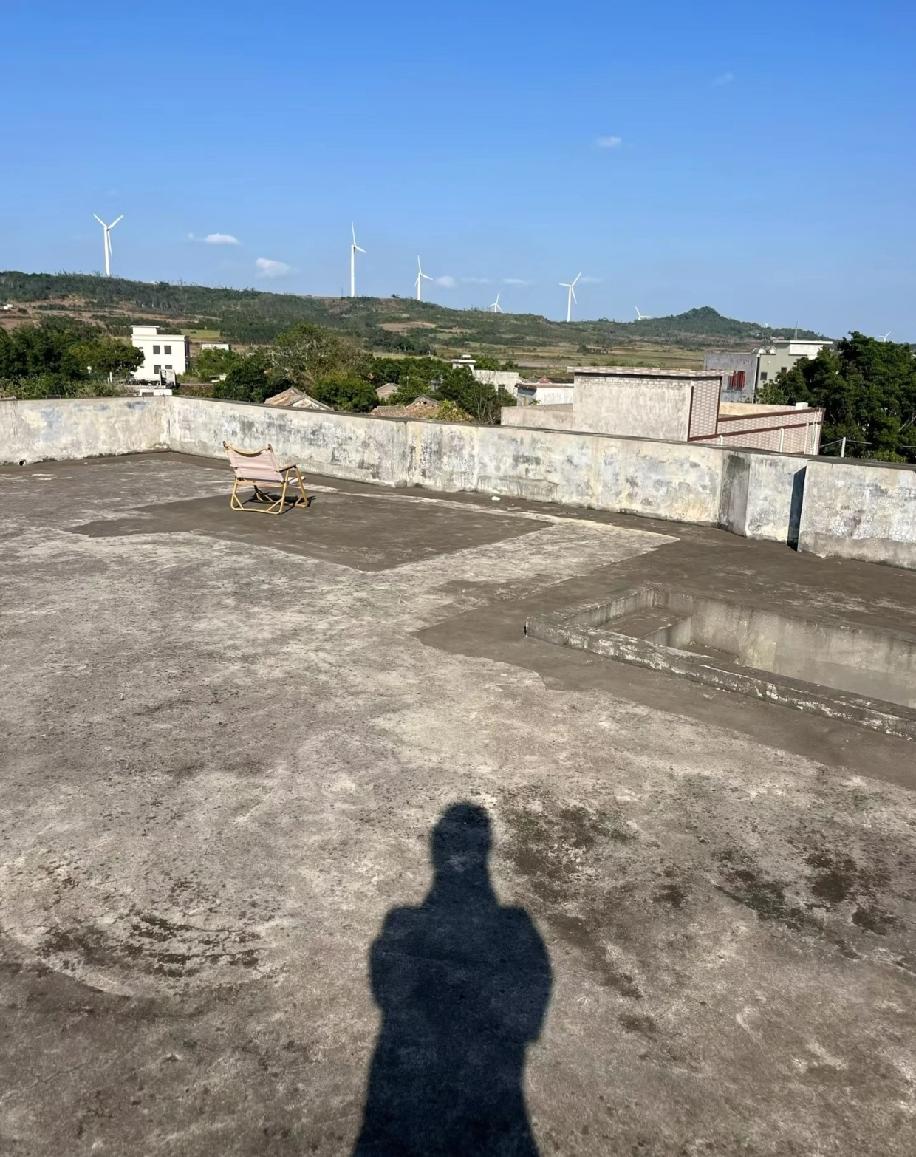 村子好像是瞬间就安静下来了，五湖四海赶回来过年的人，转眼又没了踪影。时远时近还飘