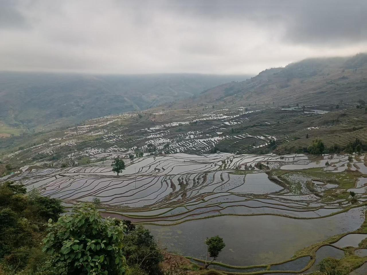 急是一种很大的负面能量，一定程度上它甚至是一种“病”。急性子的人，总像被拧得