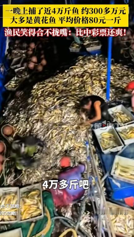 “简直赚翻了！”9月14日，福建漳州，一渔民出海捕鱼，起网时发现船下面有鱼群经过