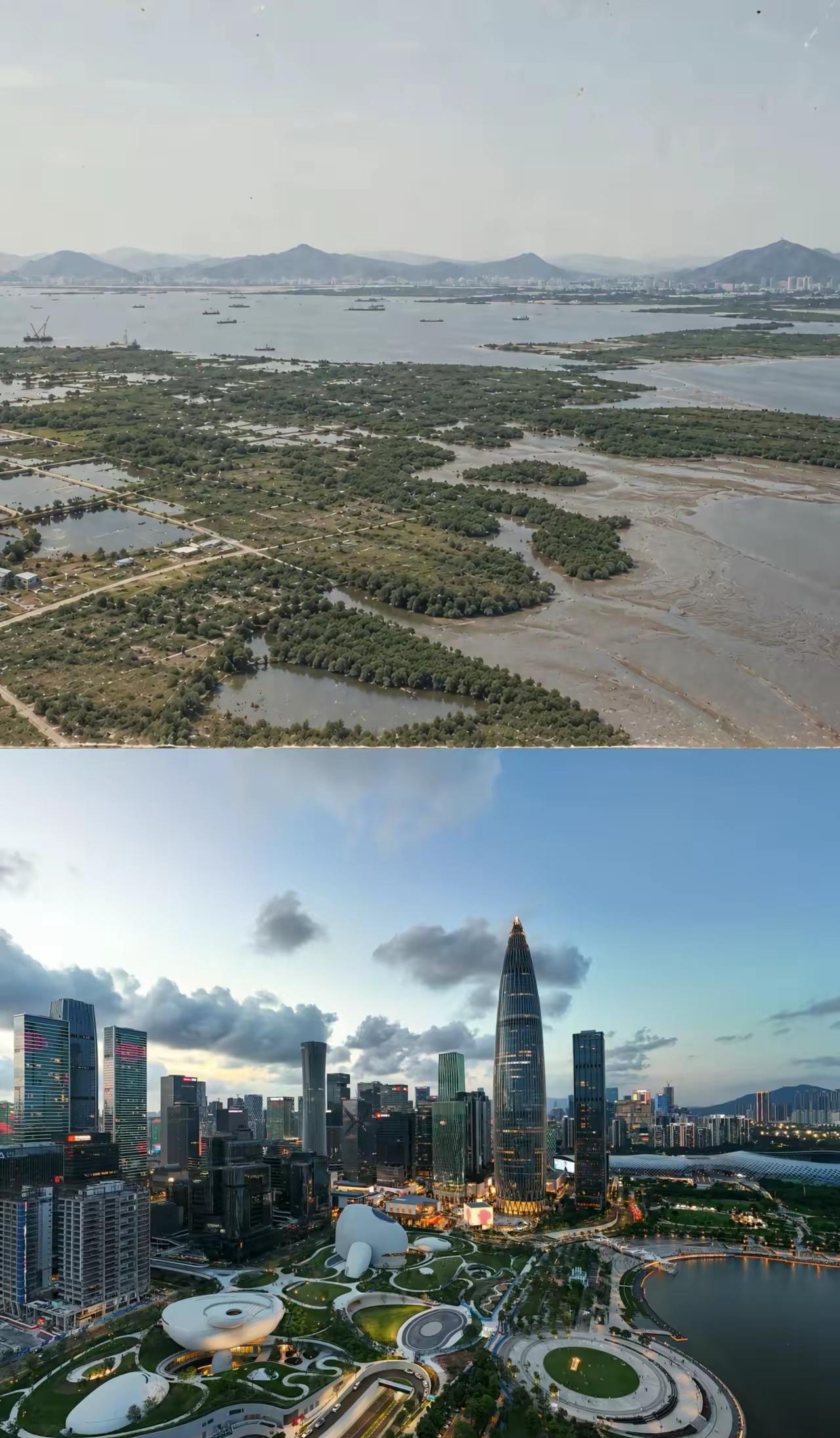 深圳30年前后对比图。上图是当年的滩涂鱼塘，下图是如今的深圳后海，从荒滩到