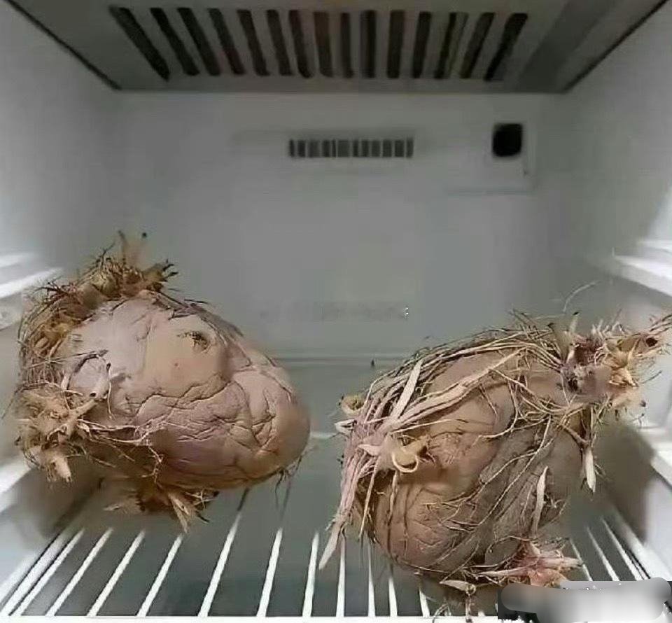 老一辈就是节约，殊不知电费都比他们贵