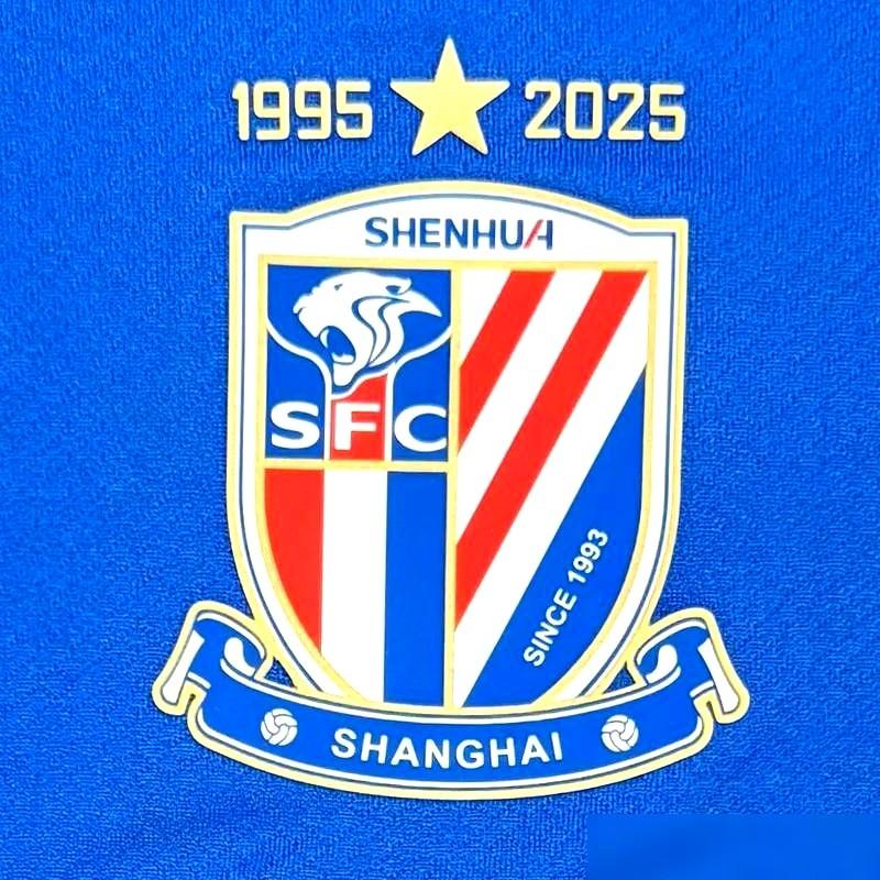 那个叫刘若钒的男人，看着他穿对手球衣，心里真不是滋味。自己家养大的孩子，成了扎