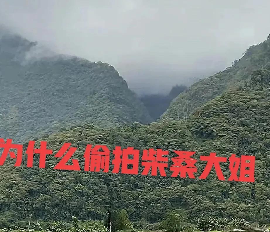 柴桑大姐透露，他昨天照常去公园直播，无意中发现有人偷拍她。柴桑大姐就质问偷拍