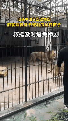 终身难忘的一课！[哭哭]