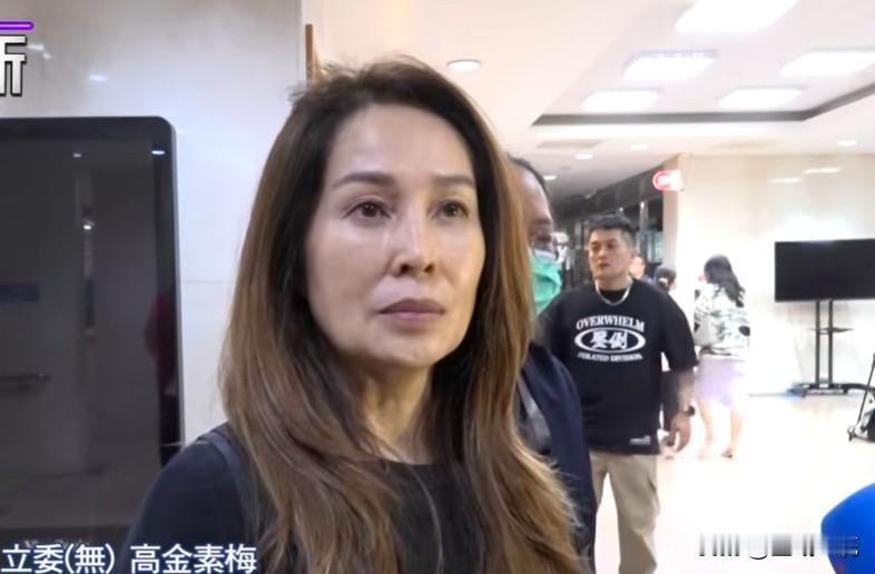 应讯3小时被请回高金素梅：勇敢面对人生困境无党籍立委高金素梅因涉“诈领助