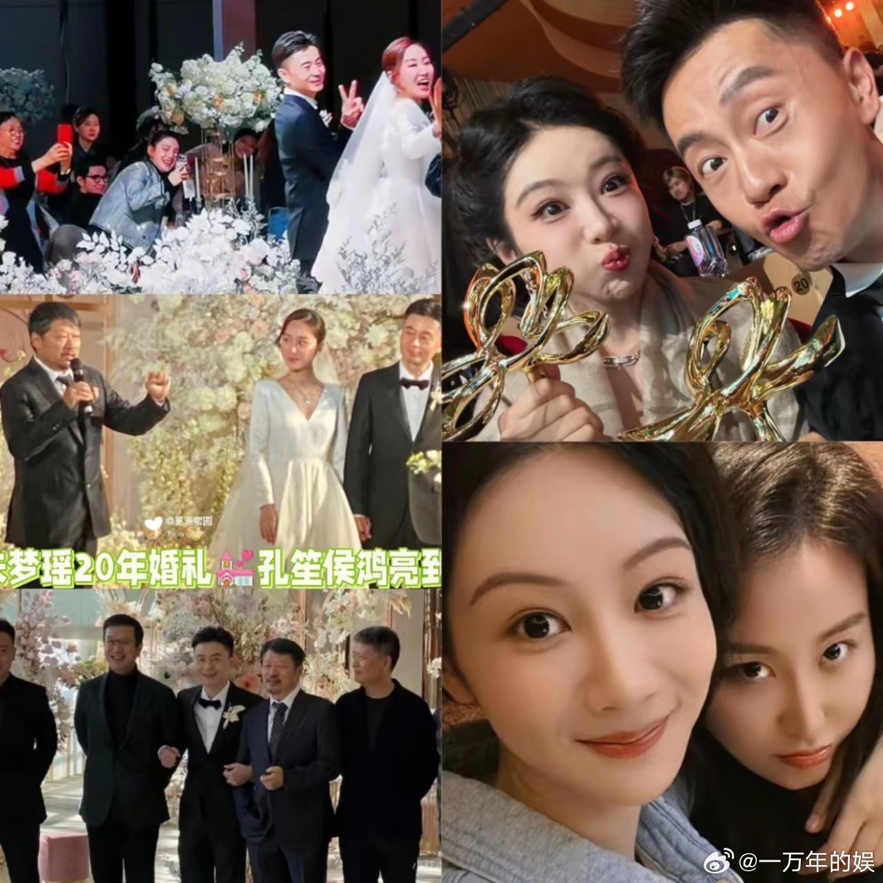 我宣布！电视剧《生命树》最大的赢家出现了不是演员杨紫，不是导演李雪，而且那个叫做