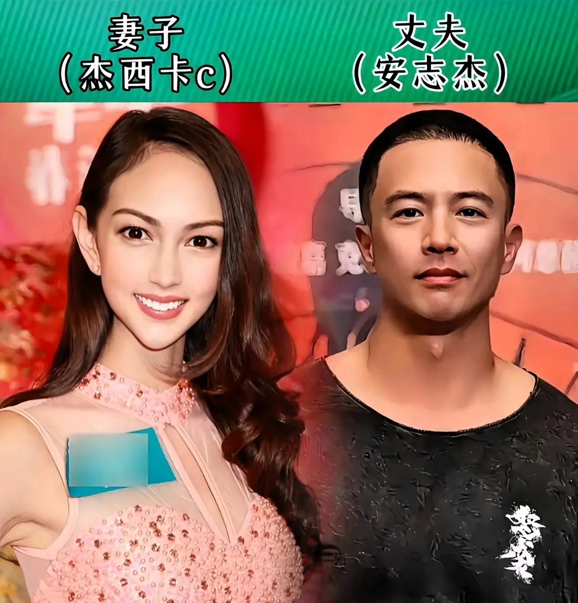 还是李连杰会找媳妇，利智的颜值绝对是无可挑剔的。甄子丹的妻子汪诗诗也很漂亮