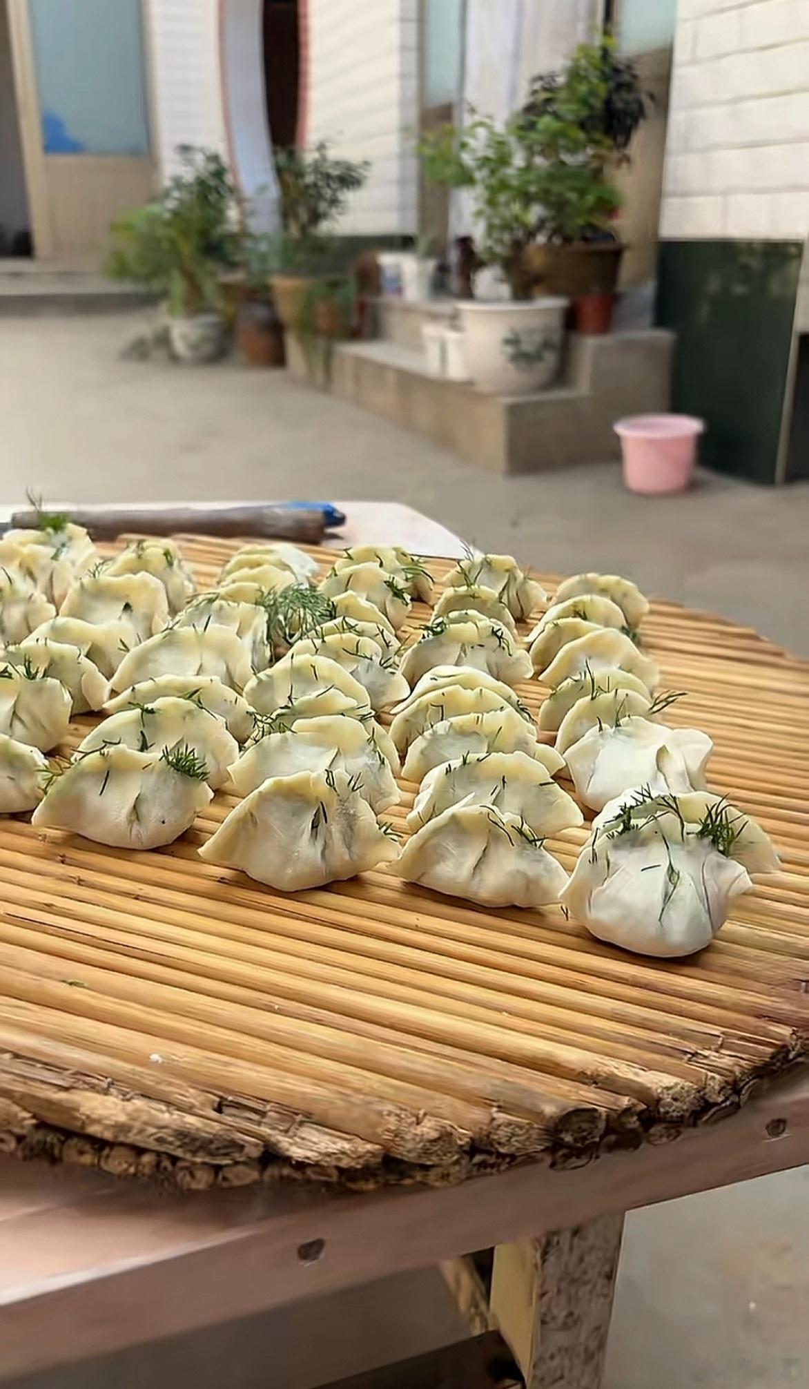 不懂就问，长出芽的饺子，这是什么馅？