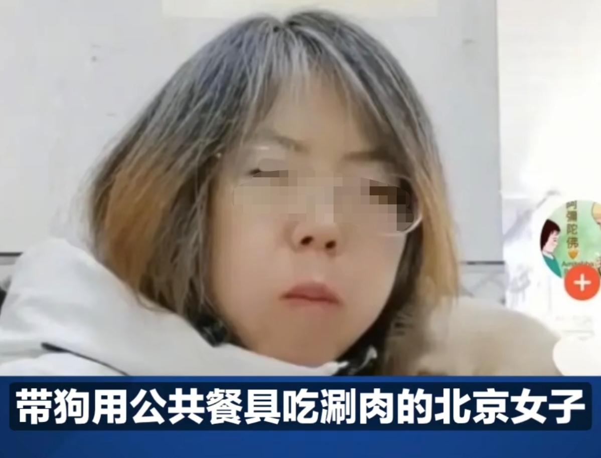 活久见！北京大姐带狗涮肉老板百万硬刚绝了家人们谁懂啊！北京一大姐带狗进涮