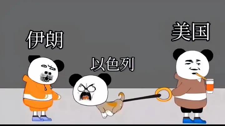 笑不活了！蚂蚁跟大象干架，最惨的居然是脚盆鸡😂蚂蚁非要跟大象硬碰硬，本以