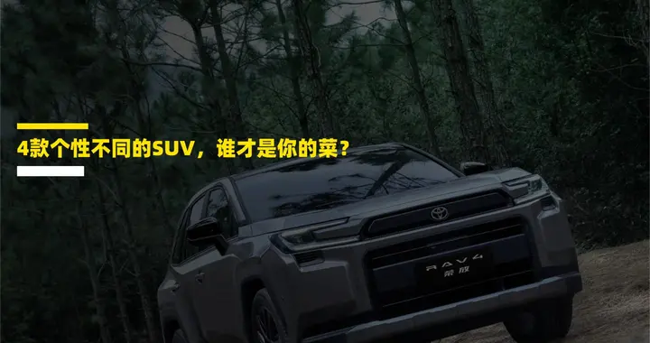 4款个性不同的SUV, 谁才是你的菜?