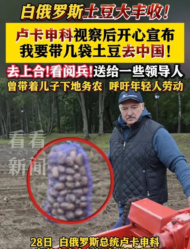 白俄罗斯土豆大丰收！卢卡申科视察后开心宣布，我要带几袋土豆去中国！看阅兵送给一些
