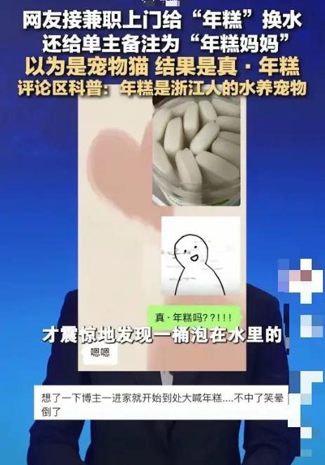 “笑不活了！”浙江，一女子接了个“兼职”，需要上门给“年糕”换水，一次30元，起