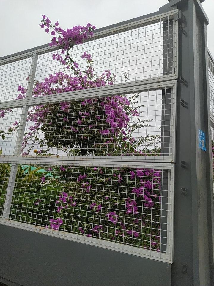 现在都谈消费降级，很多年轻人都不想花钱了，都省钱过日子。我也是如此，我都好几年